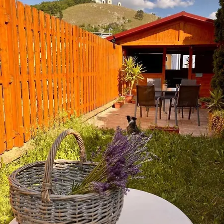 Moravia - Free Parking In The Center Pensjonat