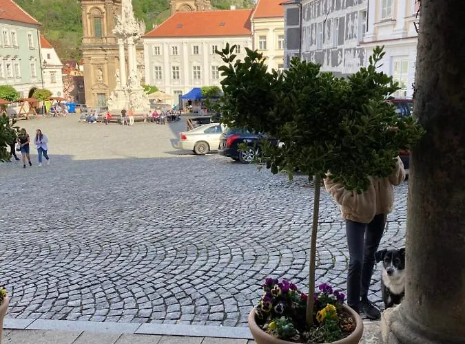 Moravia - Free Parking In The Center 4*