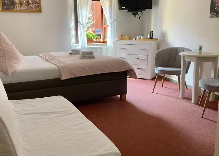 Гостевой дом Moravia - Free Parking In The Center 4*
